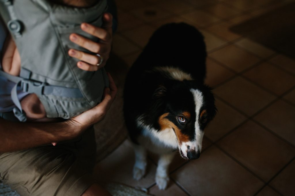 father and baby son with dog